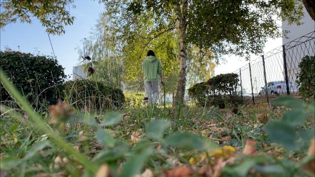 Осенний влог: уют, уборка, работа и прогулки 🍁 смотреть онлайн