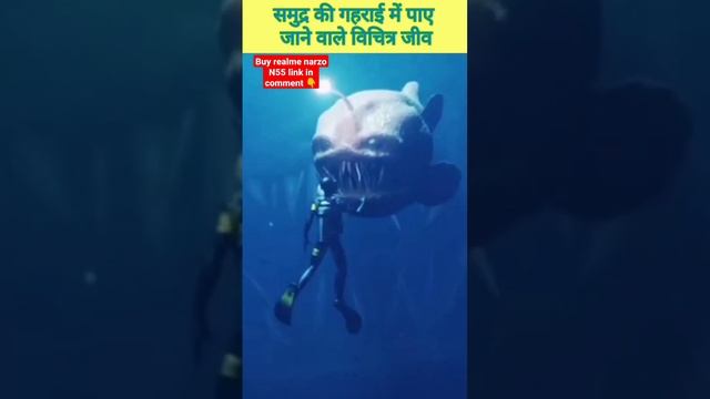 Inside the deep ocean #shorts #viralvideo смотреть онлайн