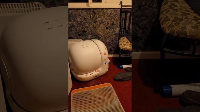 PETKIT PURA MAX Cleaning Cycle смотреть онлайн