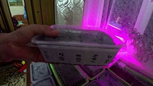 Массовые посев завершен