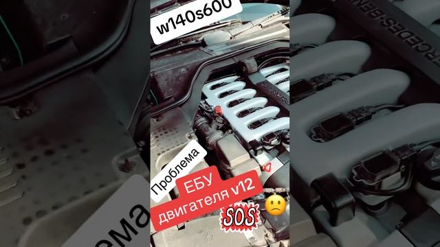Блоки управления двигателем W140s600 #w140 #v12 #топ #mercedes #ремонт #кабан #mer #s600 #sclass
