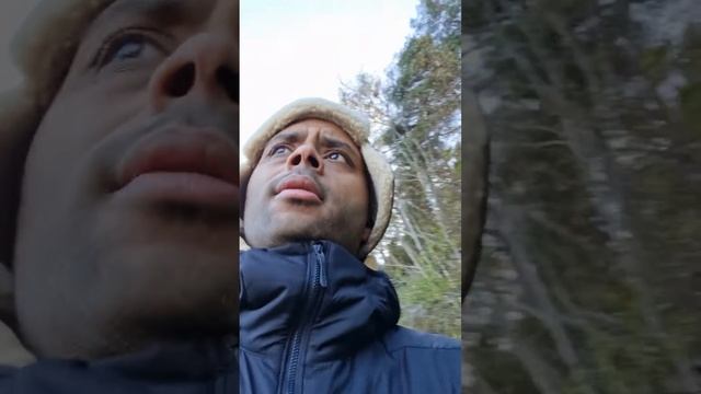 Byredo Animalique, First Impressions