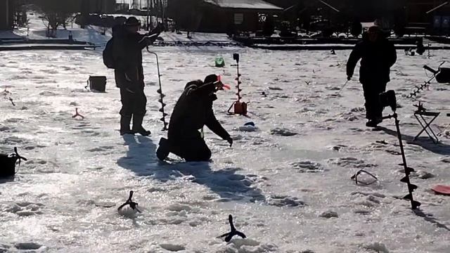 Сход и поимка смотреть онлайн