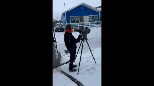 Greenland with dave lonergan Vol 21 Behind The Scenes ilulissat 2022 смотреть онлайн