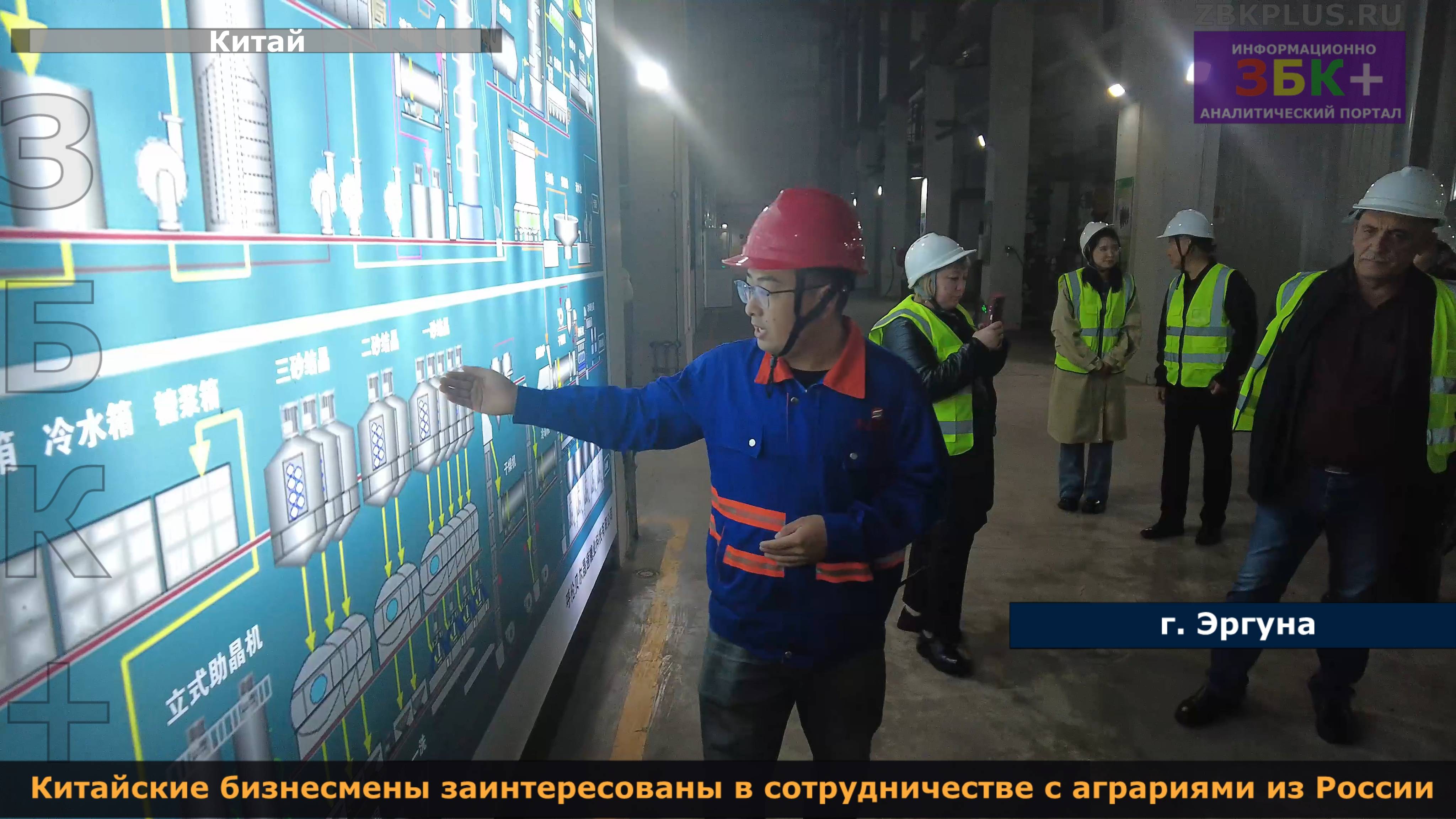 ЗБК + Китайские бизнесмены заинтересованы в сотрудничестве с аграриями из России смотреть онлайн