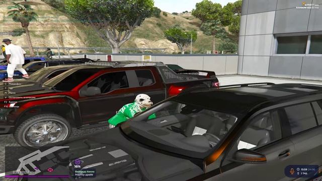 Веселый морской котик из капт состава емс