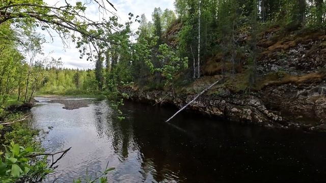 Прогулка у р. Изъяю | Июнь 2022