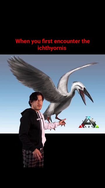 when you first encounter the ichthyornis on Ark ascended 🤣🤣 #ark #foryou #arkascended смотреть онлайн