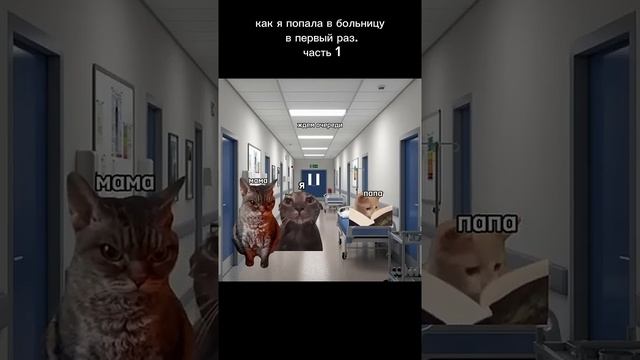 #котики #больница #смешно #нос смотреть онлайн