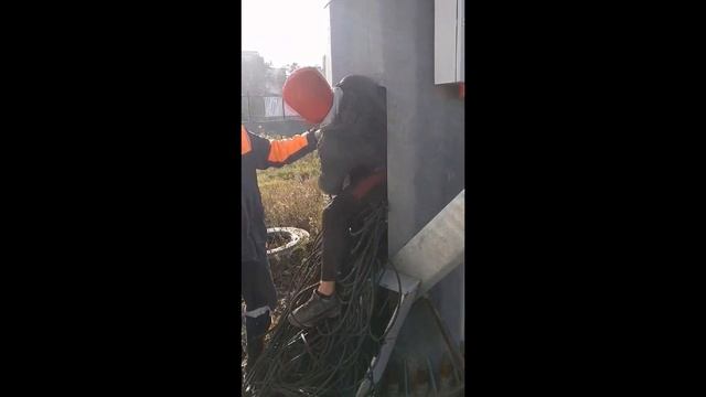 В Красноярске спасли обесточившего спорткомплекс застрявшего вора смотреть онлайн
