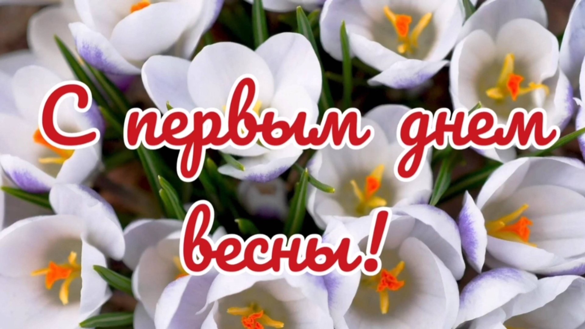 Первый день весны. Весна пришла. Поздравление с весной. смотреть онлайн