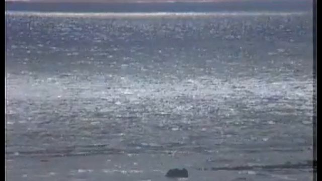 Bolivianita смотреть онлайн