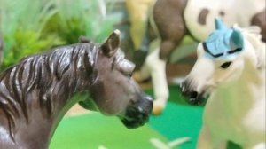 сериал "за вниманием прошлого" ✨🤍🤭 #лошади #фигурки #schleich 🌿🔥🤍