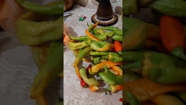 Острый перец " цицак"!🌶 смотреть онлайн