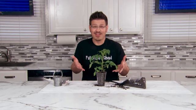 Grow your own Plants - DIY Garden | Season 2 Ep. 9 | Mister C Full STEAM Ahead смотреть онлайн