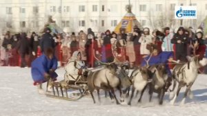 День оленевода-2025. Надым