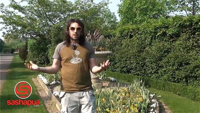 Pay Attention! смотреть онлайн