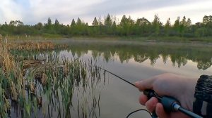 КАРАСЬ НА МОРМЫШИНГ ВЕСНОЙ !!! КАРАСЬ ГНЁТ Dayo Prestige и РВЁТ ЛЕСКУ !!!