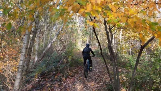Active Track // MTB смотреть онлайн