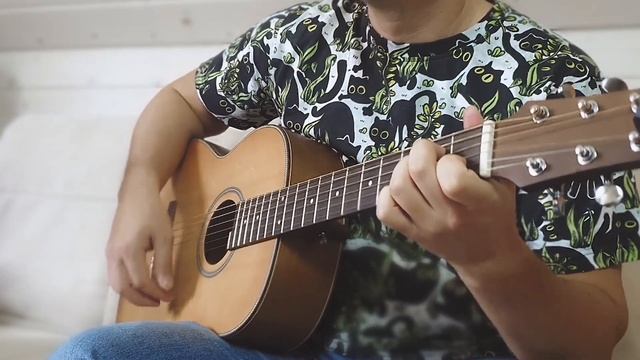 PnP Cover - Кот Флейтист (Иллет)