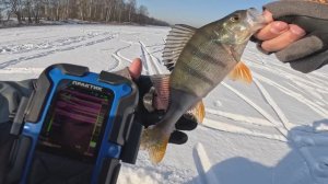Зимняя рыбалка с эхолотом. Первое знакомство. Ловля Окуня на блесну.