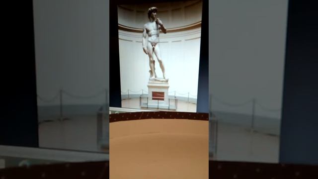 David di Michelangelo Buonarroti - spiegazione-