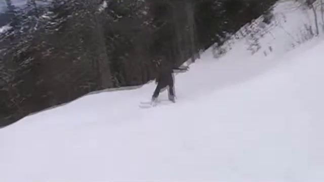 journée de dingo avec le ski club vallorbe смотреть онлайн