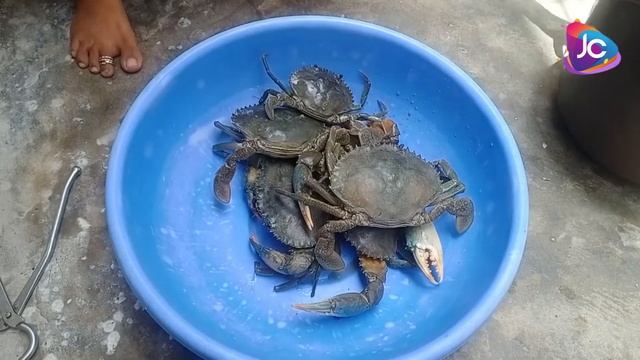catching crab in mangrove || king size crab cooking || catching mud crabs and cooking || how crab смотреть онлайн