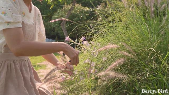 Stainless Steel Pruning Snips смотреть онлайн