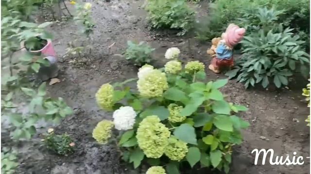 КРАСКИ ЭТОГО ЛЕТА ! МОЙ ❤ ПАЛИСАДНИК ! смотреть онлайн