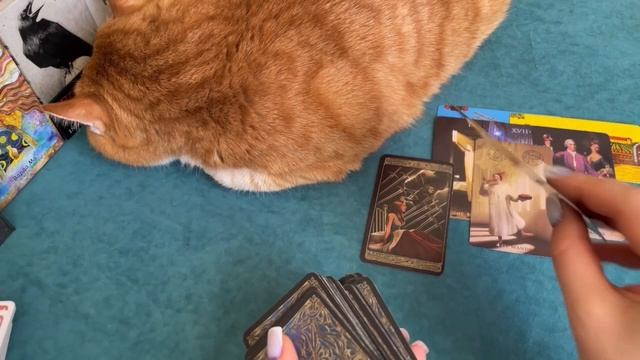 ПЕРЕМЕНЫ К ЛУЧШЕМУ: ВАША ВЕСНА 2025. ОНЛАЙН-ТАРО РАСКЛАД смотреть онлайн