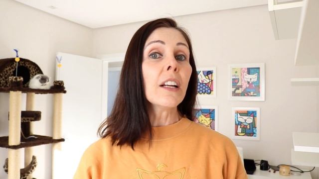 Gato ADULTO Pode Comer Ração Para FILHOTES? - Gatil Hauser