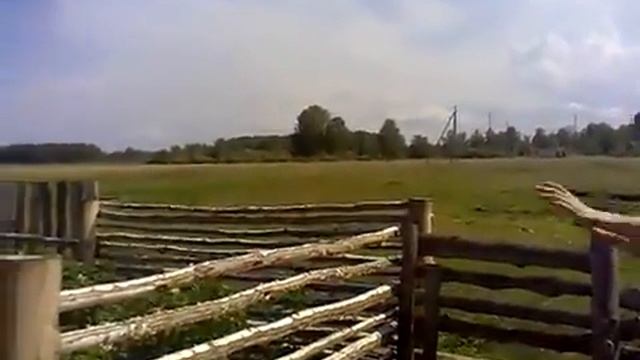 !смешно, прикол, ржака, страх, испугался, любопытство, дебилы смотреть онлайн