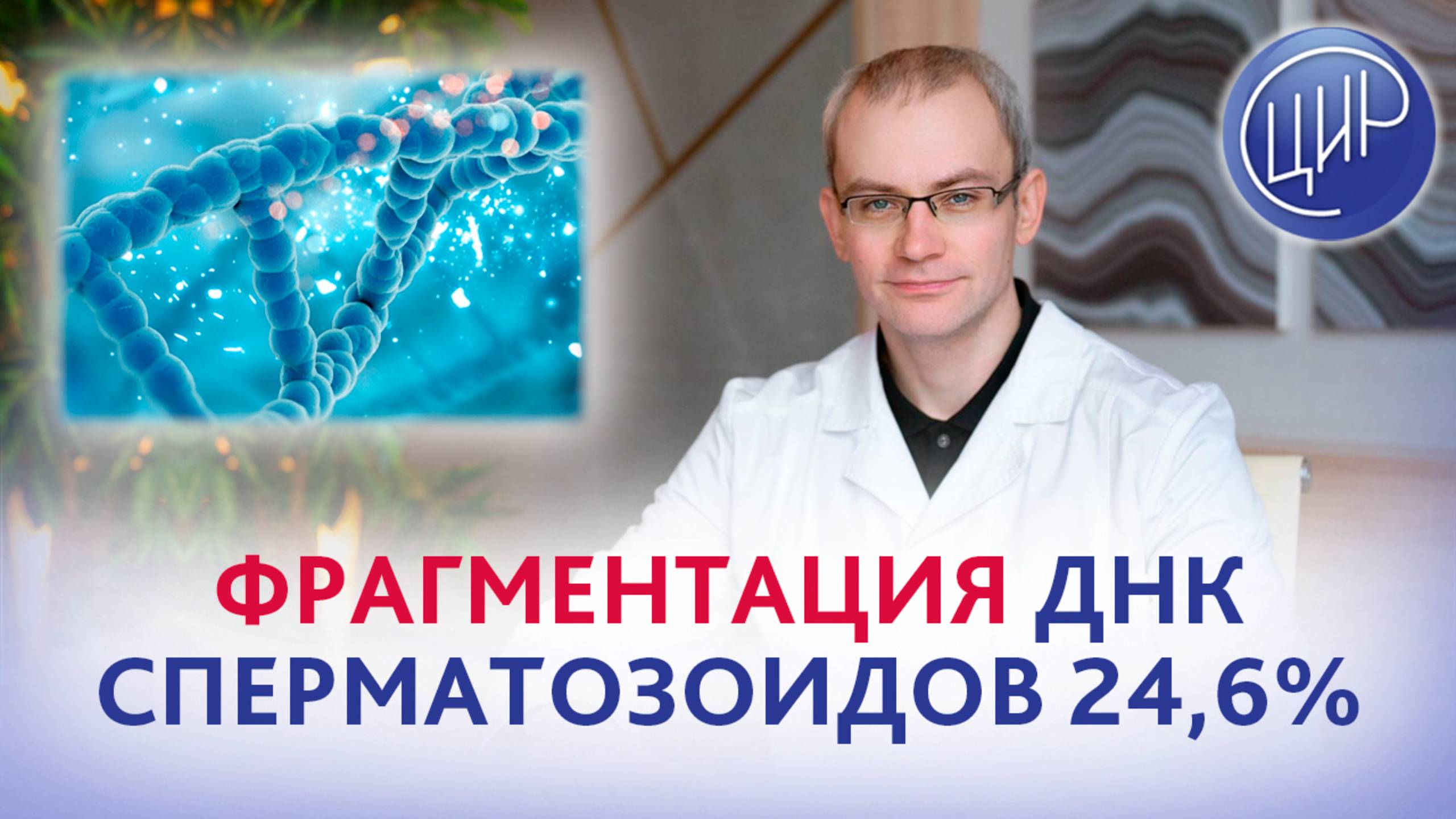 Фрагментация ДНК сперматозоидов 24,6%, морфология по Крюгеру 12% и анэмбриония. смотреть онлайн