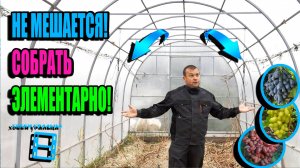УМНАЯ СУПЕР ШПАЛЕРА ДЛЯ ВИНОГРАДА В ТЕПЛИЦЕ. СЕВЕРНЫЙ ВИНОГРАДНИК 25-02