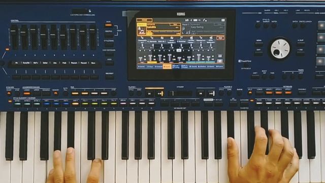 Love And Love / Korg Style Instrumental Euro Disco / Korg Pa5x смотреть онлайн