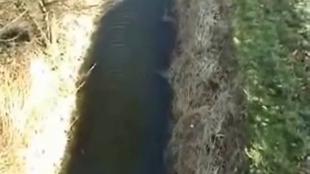 anaconda смотреть онлайн