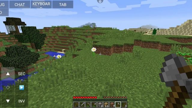 играю в Minecraft