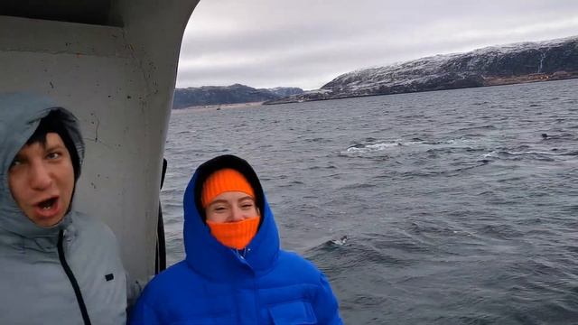 Киты в декабре смотреть онлайн