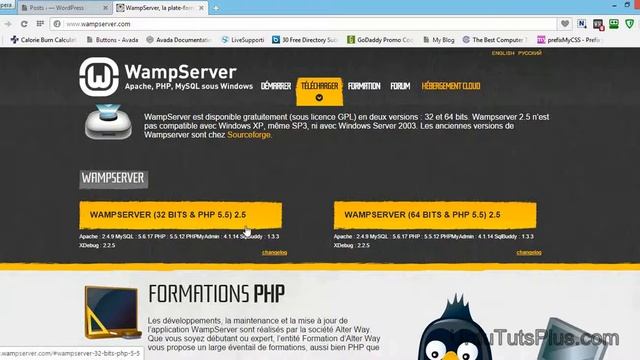 How to download Wamp and Wordpress 7/80 смотреть онлайн