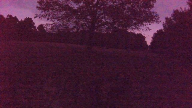 SPOT & STALK Bowhunt | Giveaway! смотреть онлайн