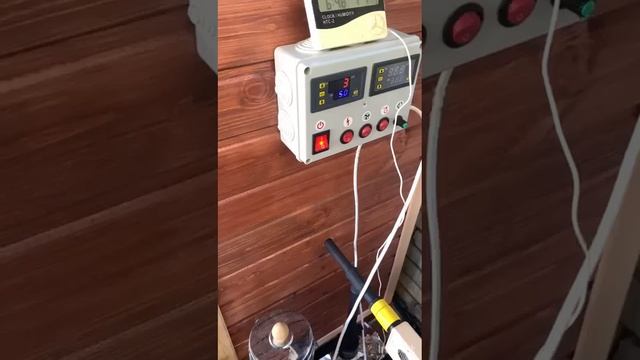 Горбуша холодного копчения. Коптим с электростатикой смотреть онлайн