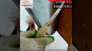 Конус для забоя птицы