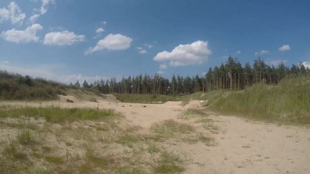 Калашников TG-2 366ТКМ, VectorOptics Forester 1-5х24 (SCOC-3), патроны Техкрим Кион 13 и 15