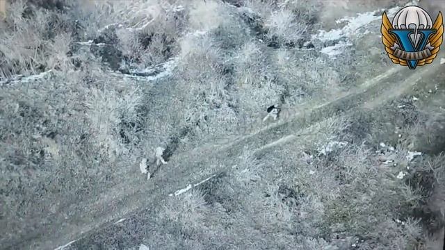 Боец армии РФ спасает пленного солдата ВСУ от FPV дрона. смотреть онлайн