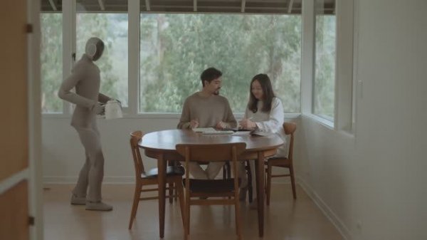 Бытовой человекоподобный робот NEO Gamma