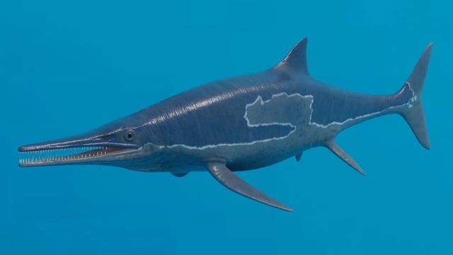Ichthyosaurs 3D Model | CGtrader | Sketchfab смотреть онлайн