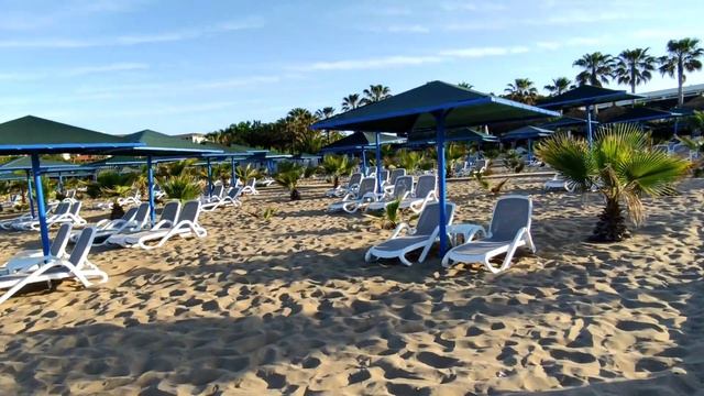 Urlaub In Side Kumköy, Hotel Paloma Oceana Resort, Der Strand Mit Liegen