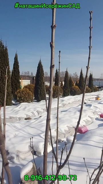 👩💻🧑💻Приступаем к формированию предварительных почтовых трек номеров📦, ещё принимаем бронирова