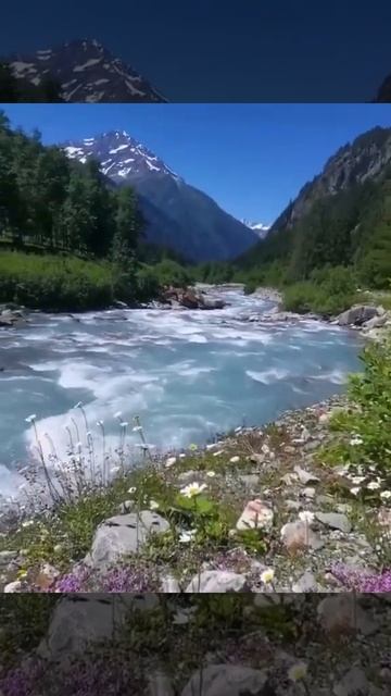 Tag sonmeone with whom you would love to see this Switzerland смотреть онлайн